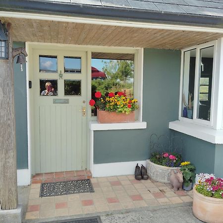 Dromelihy House Stud Affittacamere Doonbeg Esterno foto